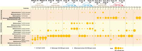 Bubble chart of the proportional composition of methanogens based on... | Download Scientific ...