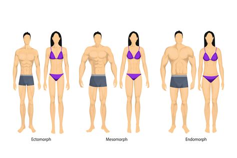 Understand Your Body Type — Nutriworks Nutrition