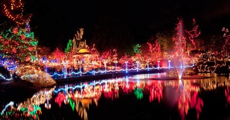 Cincinnati Zoo Festival of lights now in it's 35th year.