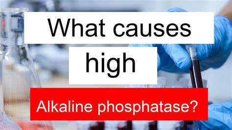 What does high Alkaline phosphatase and Platelet count mean in blood test?