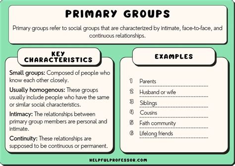 Primary Groups in Sociology (Definition & 10 Examples) (2024)