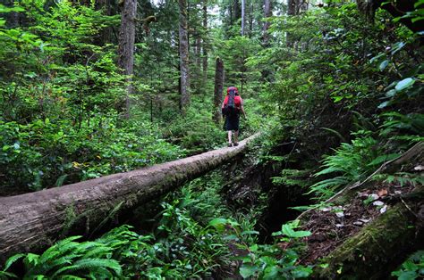 Best time for West Coast Trail in British Columbia 2024 - Rove.me