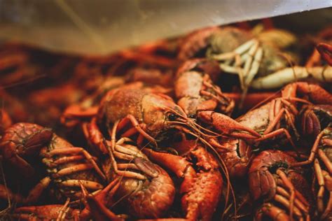 Learn All About How to Eat Crawfish with Big Citizen + Food & Wine ...