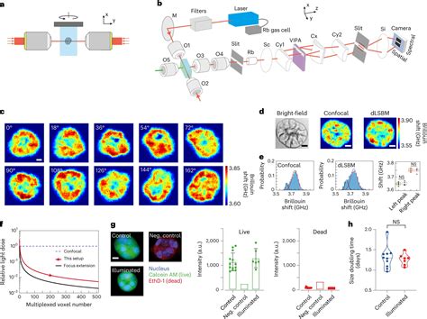 New research to bring Brillouin microscopy closer to widespread use in diagnostic medicine