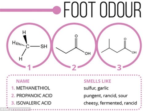 Infographic explains chemistry of odours - flatulence and cheesy feet ...