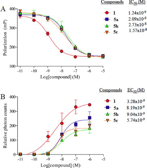 Vitamin D receptor binding and transactivation activities. (A ...