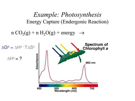 PPT - Energy/Reaction Coordinate Diagrams Thermodynamics, Kinetics ...