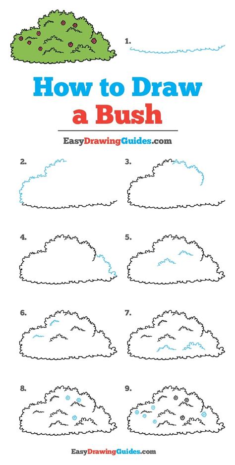 How To Draw A Bush Really Easy Drawing Tutorial Bush Drawing Easy ...