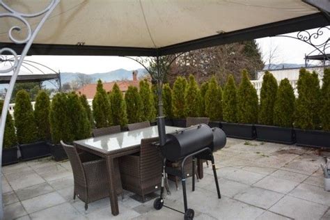 Wohnung mit Dachterrasse - Vorarlberger Nachrichten | VN.at