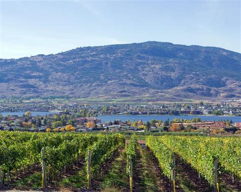 THE 15 BEST Things to Do in Osoyoos (2025) - Must-See Attractions