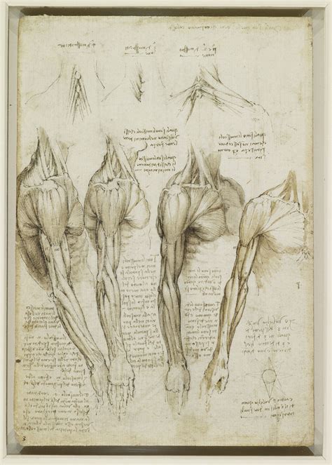 Body Maps: Leonardo da Vinci's Anatomical Drawings en 2020 | Arte de anatomía, Anatomía ...