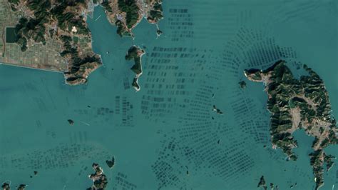 Beautiful NASA satellite photos reveal South Korea's seaweed farms