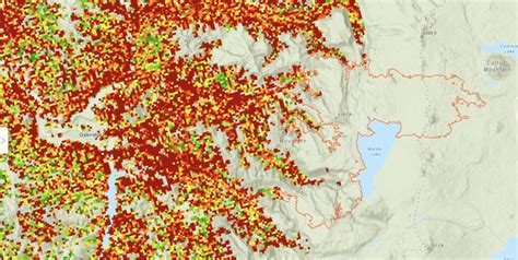 Mushroom Hunting Maps and Online Research - Modern Forager