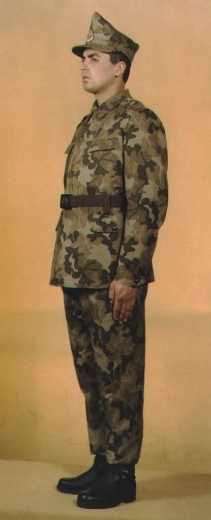 Romanian camouflage uniform designations | Camouflage uniform, Uniform ...