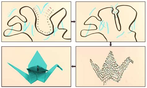 DNA origami – goepfrichgroup