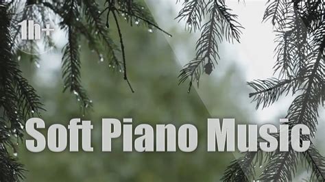 +1h Soft Piano Music to help you relax and enjoy a nice moment 💚 - YouTube