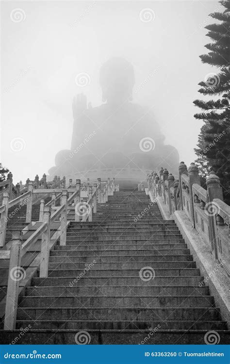 Tian Tan Buddha or Big Buddha in a Fog Stock Photo - Image of misty, hong: 63363260