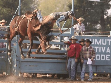 Tumut Rodeo | NSW Holidays & Accommodation, Things to Do, Attractions and Events