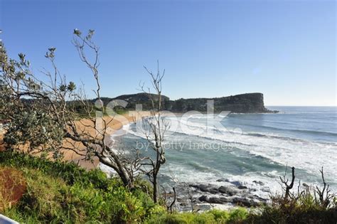 Australian East Coast Beach Stock Photo | Royalty-Free | FreeImages