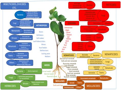 Types Of Pesticides In Agriculture