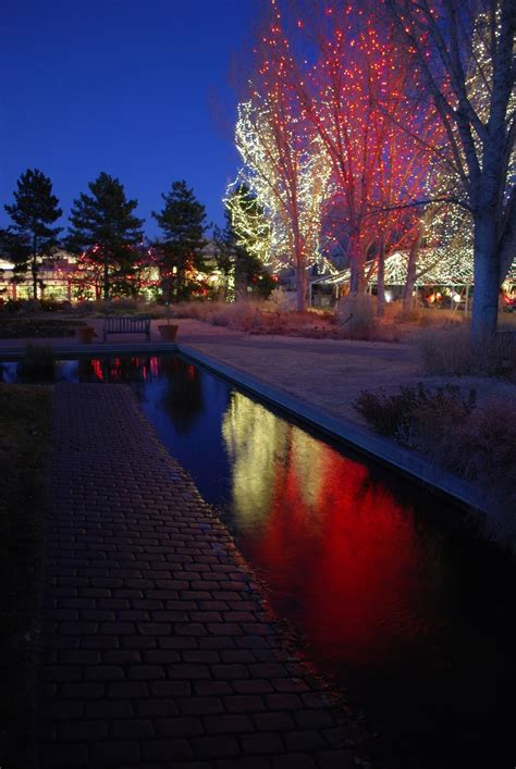 holiday lighting at Denver Botanic Gardens via The Art Garden | Denver ...