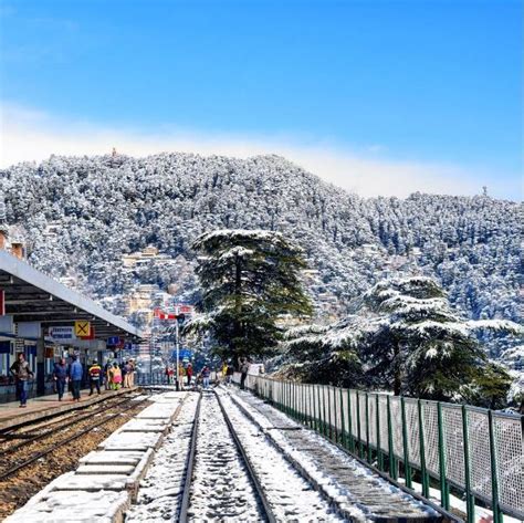 Snowfall In Mussoorie After 19 Years Looks As Magical As Youd Expect