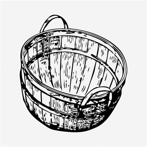 Bushel basket drawing, object vintage | Free Photo - rawpixel