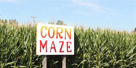 25 Best Corn Mazes Near Me - The Best Haunted and Family-Friendly Corn ...