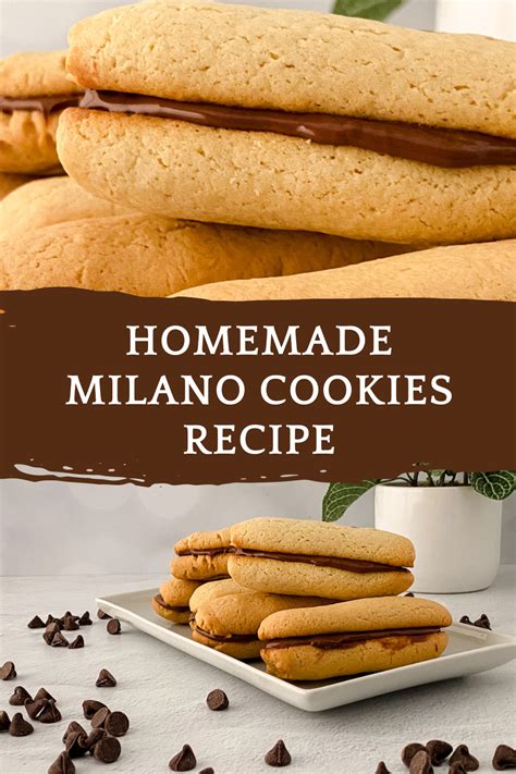 Homemade Milano Cookies Recipe - Tamara Like Camera