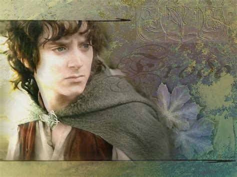 Frodo Baggins - Lord of the Rings Photo (11353312) - Fanpop