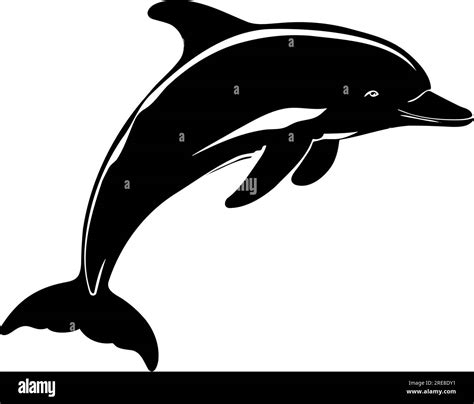 Jumping dolphin silhouette isolated. Vector illustration Stock Vector ...