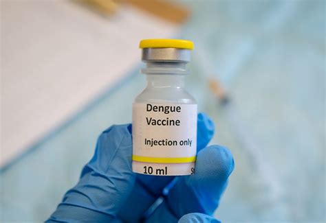 The Dengue Vaccine Controversy Explained | Biomedical Odyssey