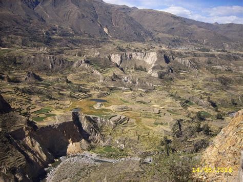 Condors at Colca Canyon – Life on the ocean waves… and on land