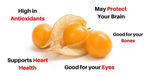 5+ Health Benefits of Cape Gooseberries (Plus recipes) | Cape ...