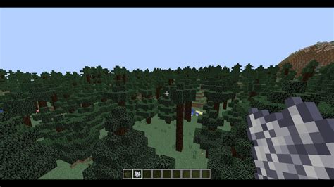 Spruce Biome Minecraft