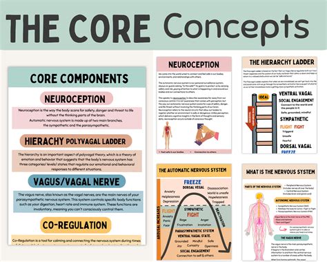 Polyvagal Theory Cheat Sheet Chart, Nervous System Regulation, Somatic Therapy, Regulating the ...