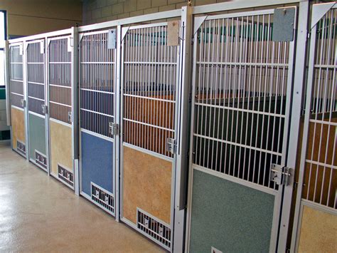 Multi-Colored Dog Kennels at Weld County Animal Shelter