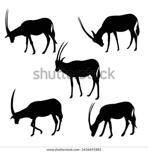 Antelope Springbok Set Isolated Black Antelope Stock Vector (Royalty Free) 1636691881 | Shutterstock