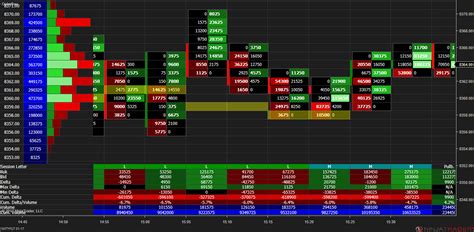 How to Enable Tick Replay Option in NinjaTrader 8 to get OrderFlow Charts?