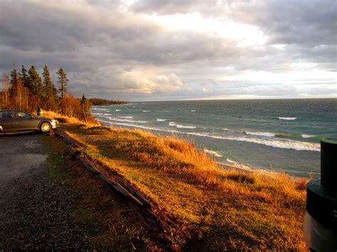 North Shore Nature: Gale warning