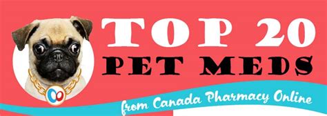 Top 20 Pet Meds [Infographic]