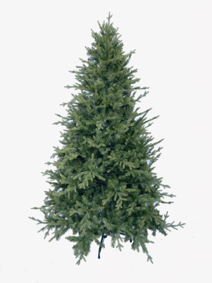 7.5ft Pre-lit English Pine Christmas Tree – The Christmas Store, Auckland