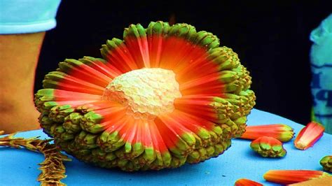 Top 5 Strangest Fruits in The World - YouTube