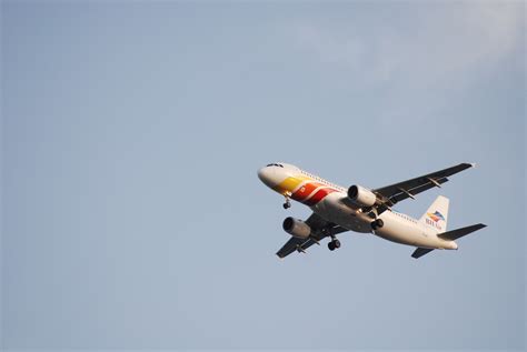 Commercial Airplane Landing Free Stock Photo - Public Domain Pictures