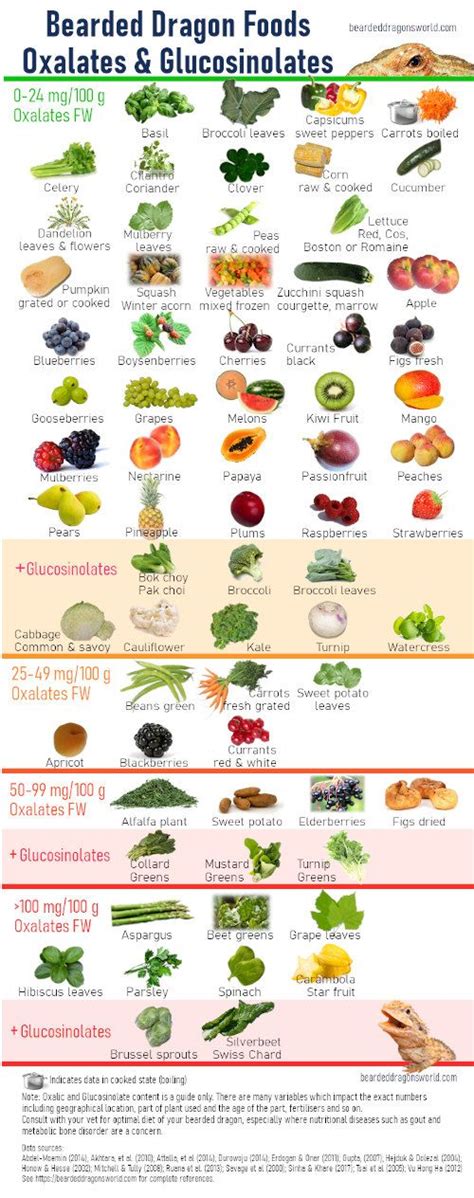 the different types of vegetables and their names