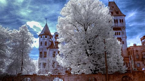 architecture, Castle, Schloss Faber Castell, Nuremberg, Trees Wallpapers HD / Desktop and Mobile ...