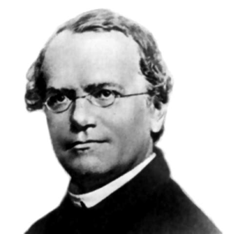 Biography of Johann Gregor Mendel - Father of Genetics | HubPages