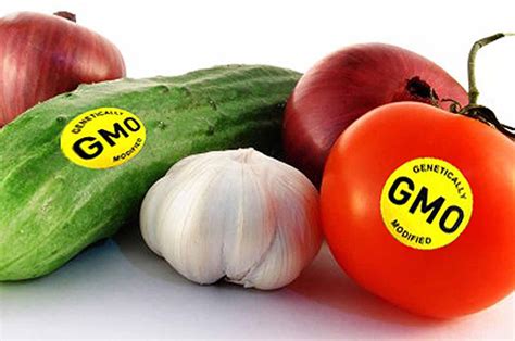 GM Food Hazards