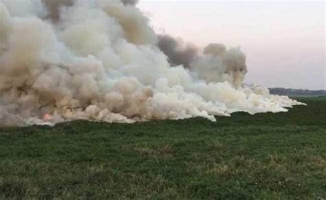 Smoke Billows From Bellandur Lake After Fire Doused