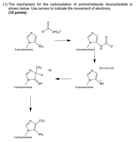 Solved 1) The mechanism for the carboxylation of | Chegg.com